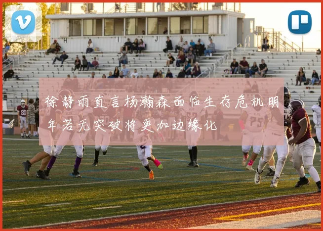 徐静雨直言杨瀚森面临生存危机明年若无突破将更加边缘化